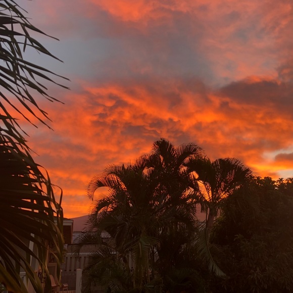 Meet your Posher, Stephanie - Picture 1 of 1